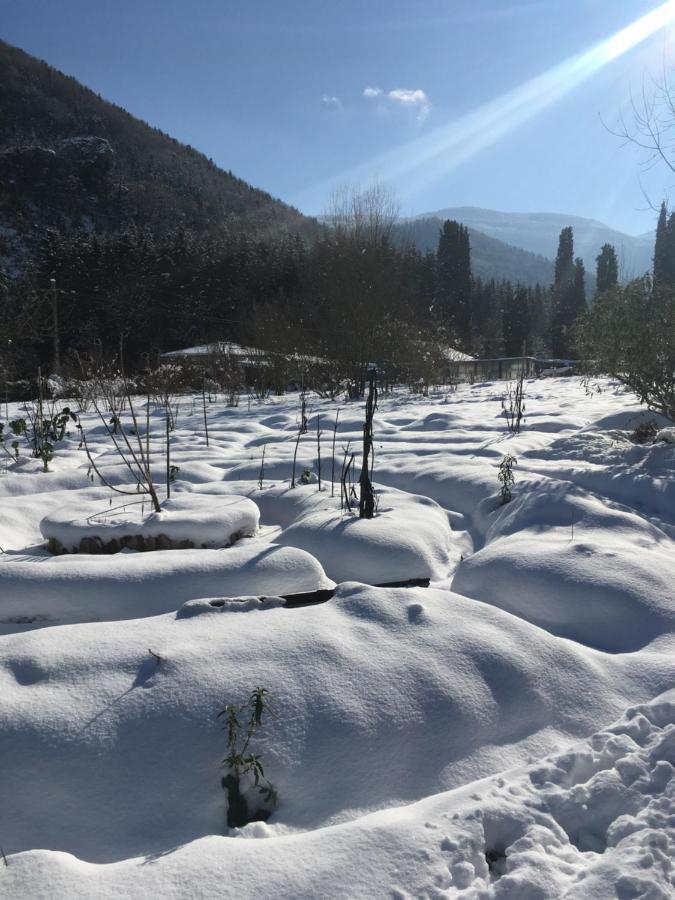 Sejour Chez L'Habitant Homestay Fougax-et-Barrineuf Εξωτερικό φωτογραφία
